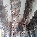  , -, 55  -  28  2014    