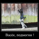���� O.l., �����, 59 ��� - ��������� 7 ������� 2014 � ������ �������