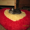 ���� �������, ������ - ��������� 24 �������� 2014 � ������ ���� ����������