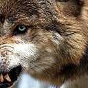 ���� ������, ��������, 46 ��� - ��������� 5 ������ 2014 � ������ ���� ����������