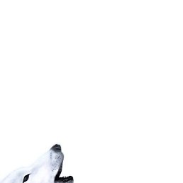 ���� ����, ����������� - ��������� 23 ������ 2014