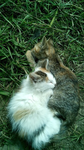  #_.       .   ... - 3