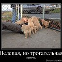 ���� ���������, ������, 40 ��� - ��������� 23 ������� 2014 � ������ ������ ��������