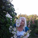 ���� ������-������, ������ �������� - ��������� 26 �������� 2014