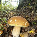 ���� ����, ������, 53 ���� - ��������� 27 �������� 2014 � ������ ���� ��� ������� ��� 2012_������� - � � �������