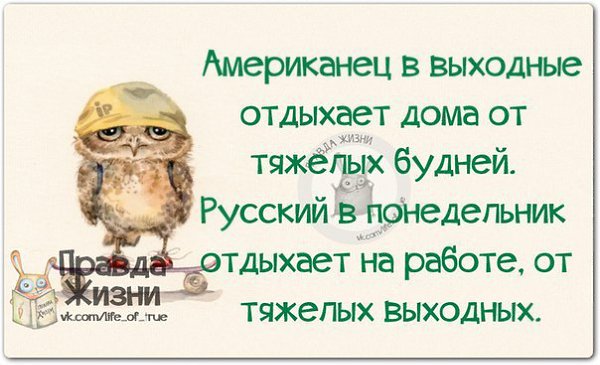 ������ ����� - 22 �������� 2014 � 23:35