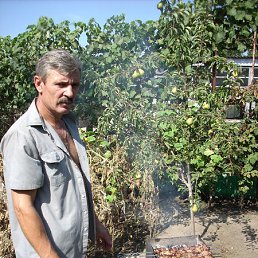 �����, �����������, 64 ����