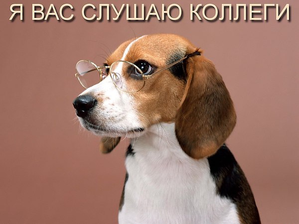    © - 30  2014  19:06