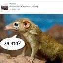 ���� �����, ���������, 46 ��� - ��������� 22 ������ 2014