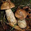 ���� �������, �����������, 71 ��� - ��������� 30 �������� 2014 � ������ ���� ������� �������