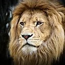 ���� �����, ��������� - ��������� 26 ������� 2014 � ������ ������ ��������