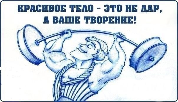 SportFeed - 15  2014  19:20