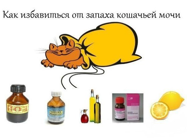 Как избавиться от запаха кошачьей мочи.Несмотря на то,что хлор является сильным окислителем и ...