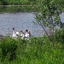 ���� ������!!!, �������� - ��������� 9 ������� 2014 � ������ ���� ����������