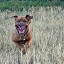 ���� Leonid, ������������, 55 ��� - ��������� 22 ������� 2014 � ������ ���� ����������