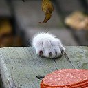 ���� ����, ���������, 48 ��� - ��������� 5 �������� 2014 � ������ ������ ��������