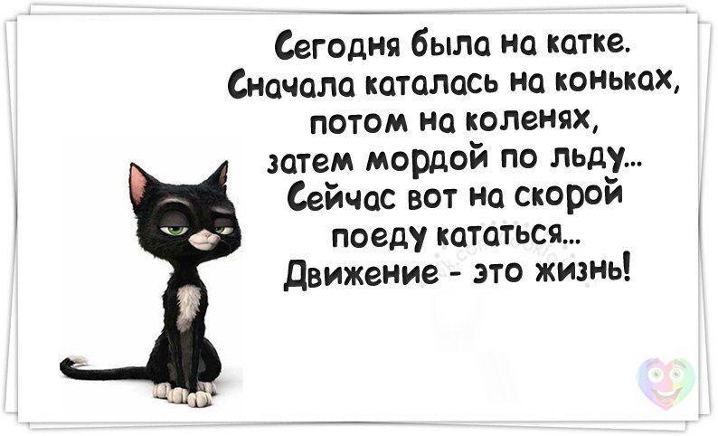 А мы ему по морде чайником. Движение жизнь юмор. Движение это жизнь шутки. Сначала я каталась на коньках потом на коленях. Сейчас на скорой поеду кататься движение это жизнь.