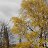 ���� �����, ���������, 48 ��� - ��������� 8 ������ 2014