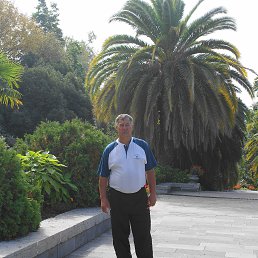 ���������, ���, 73 ����