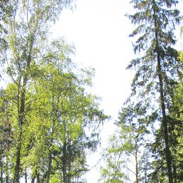 ������, �����-���������, 59 ���