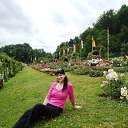 Rosengard �� ������� ���� ����������