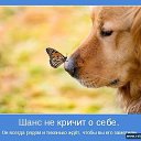 ���� �������, ������������, 71 ��� - ��������� 31 ������� 2014 � ������ ������ ��������