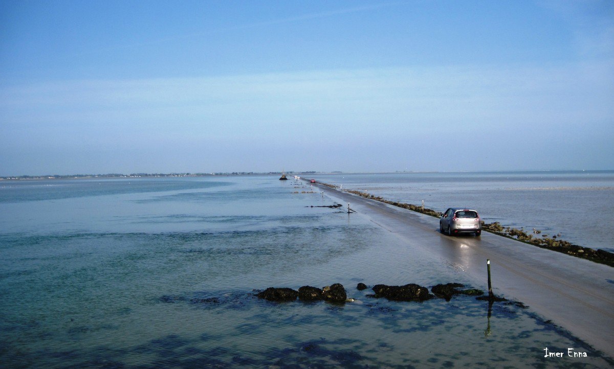  ,    .   (Passage du Gois)     ... - 6