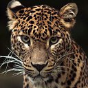 ���� �����, �����-���������, 59 ��� - ��������� 24 ������ 2014 � ������ ������ ��������