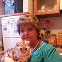 ���� ������, ������������, 61 ��� - ��������� 2 ������ 2014