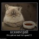 ���� ����, ��������� - ��������� 26 ������� 2014 � ������ ������ ��������