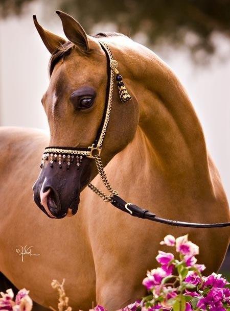    - 9  2014  07:55 - 4