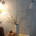 ���� ����, ������ ��������, 46 ��� - ��������� 31 ������� 2014 � ������ ���� ����������