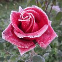 ��� ����)) �� ������� ���� ����������