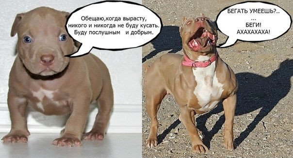    :-) - 6  2014  21:40