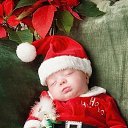 ���� ���������, ��������� - ��������� 28 ������ 2014 � ������ ������ ��������