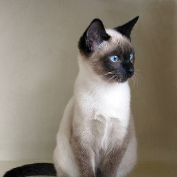 �����, ����, 47 ���