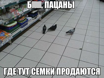     <a href=