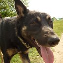 ���� ������, ������, 49 ��� - ��������� 29 ������� 2014 � ������ ������ �...�