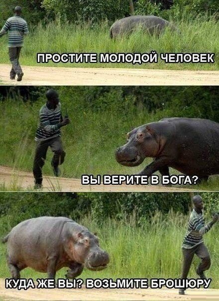 Art & Fun - 26  2014  21:25