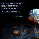 ���� ������, �����-���������, 41 ��� - ��������� 21 �������� 2014 � ������ ���� ����������