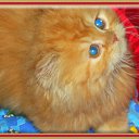 ���� �������, ���� - ��������� 23 ������� 2014 � ������ ���� ����� �����)))�