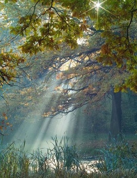 Подписывайтесь на нас: http://fotostrana.ru/public/233467 ;-) Главное жить. Главное любить. Главное ... - 5