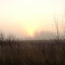 ���� ������, ��������, 55 ��� - ��������� 11 ������ 2014 � ������ ���� ����������