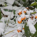 ���� ������, �������, 41 ��� - ��������� 18 ������� 2014 � ������ �������