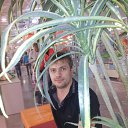 ���� ����, ������, 38 ��� - ��������� 30 ������� 2014 � ������ ���� ����������