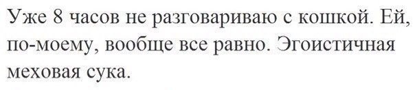 ������� - 3 ������ 2014 � 00:27