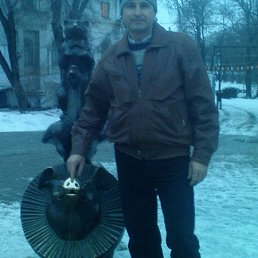 ����, ������-��-����, 56 ���