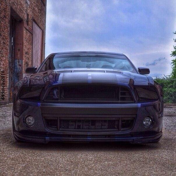 Ford Mustang Shelby GT500 - 4