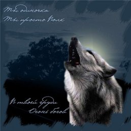 ����, ������, 45 ���