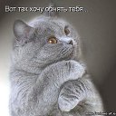 ���� ������, ����, 60 ��� - ��������� 29 ������ 2014 � ������ ������ ��������